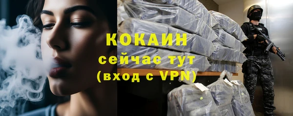 COCAINE Богородицк