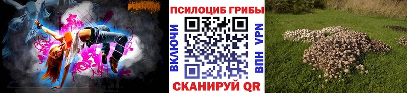 цена наркотик Медногорск Псилоцибиновые грибы Psilocybe