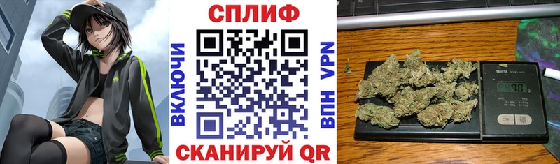 купить наркотик  Медногорск  Бошки марихуана гибрид 
